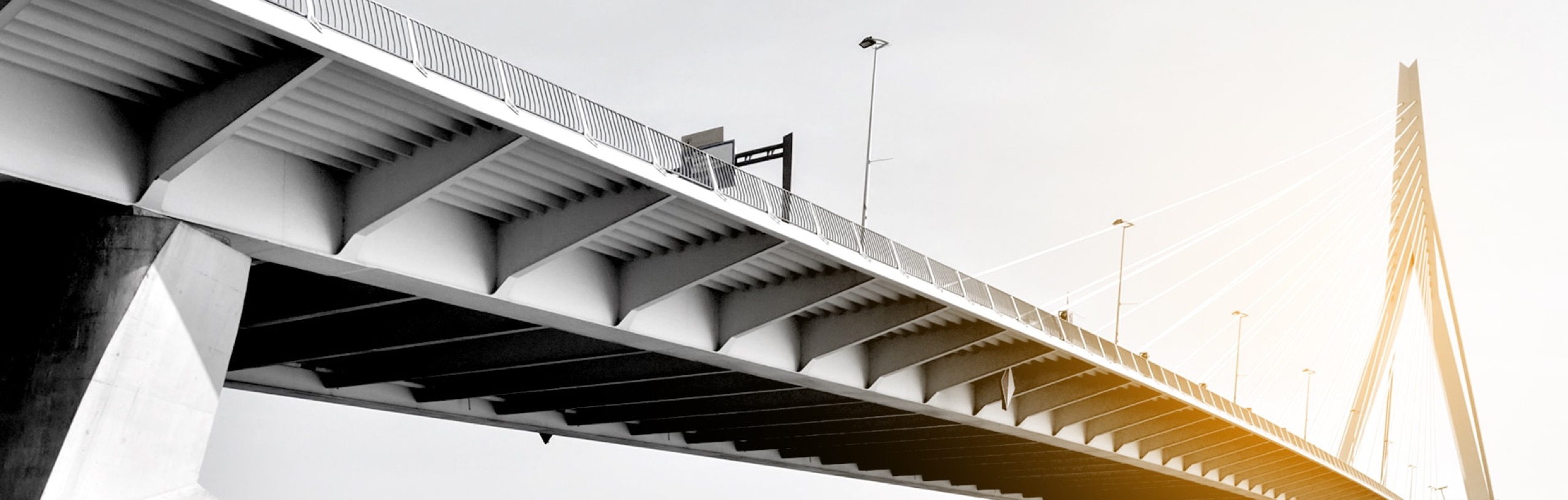 Cable-stayed bridge seen from below against the light