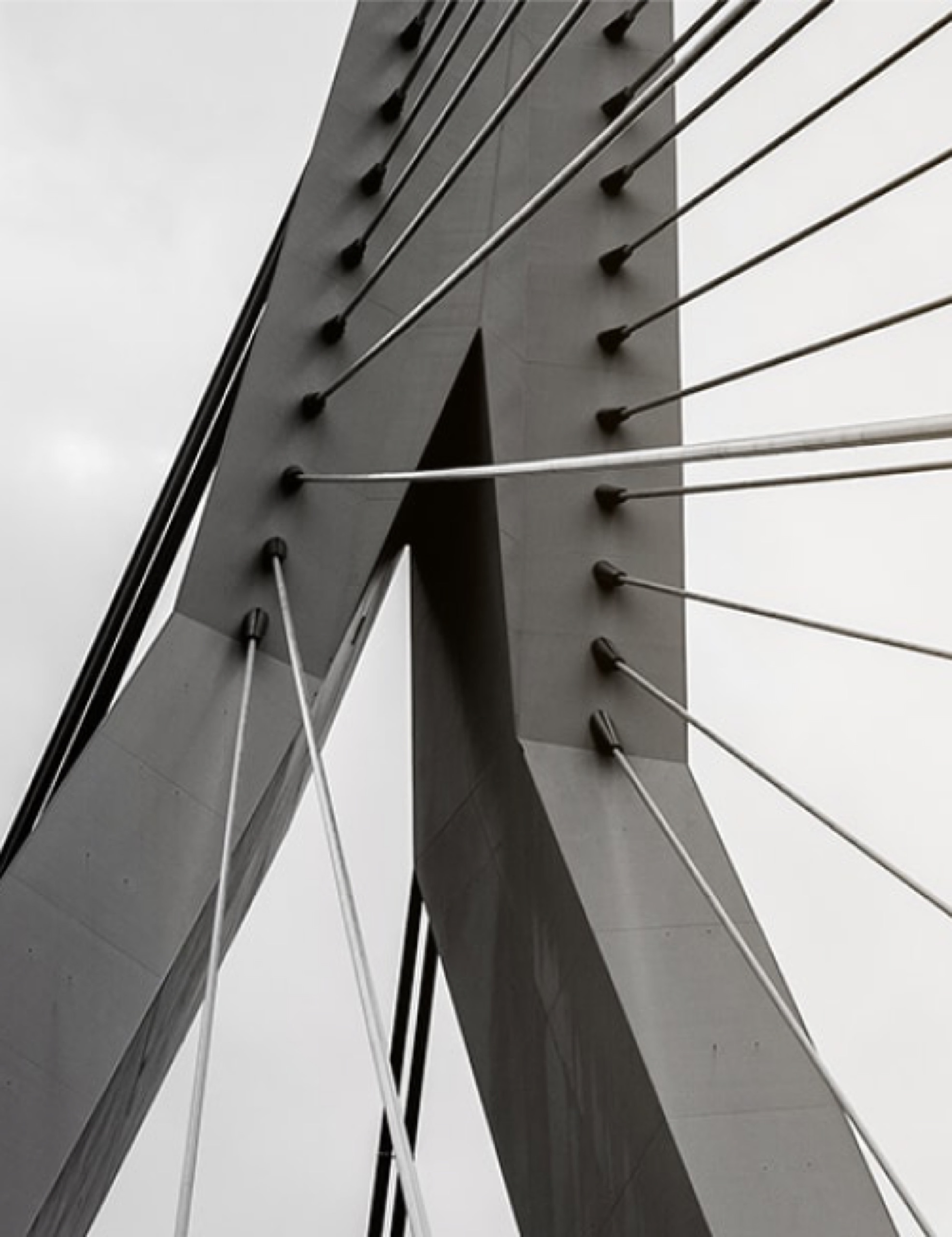Pylon of a cable-stayed bridge with steel cables seen from below