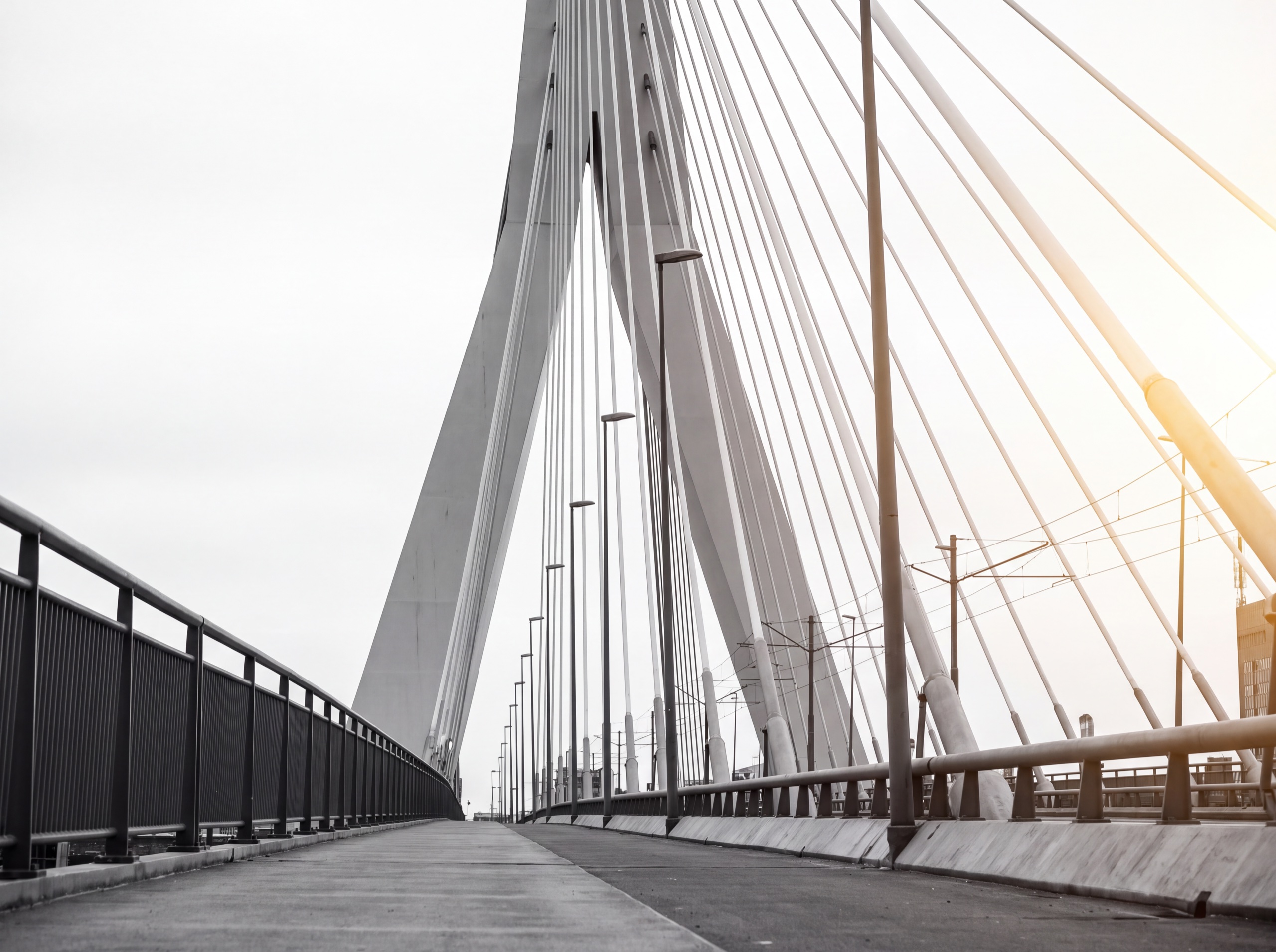Pylon of a cable-stayed bridge seen along the walkway