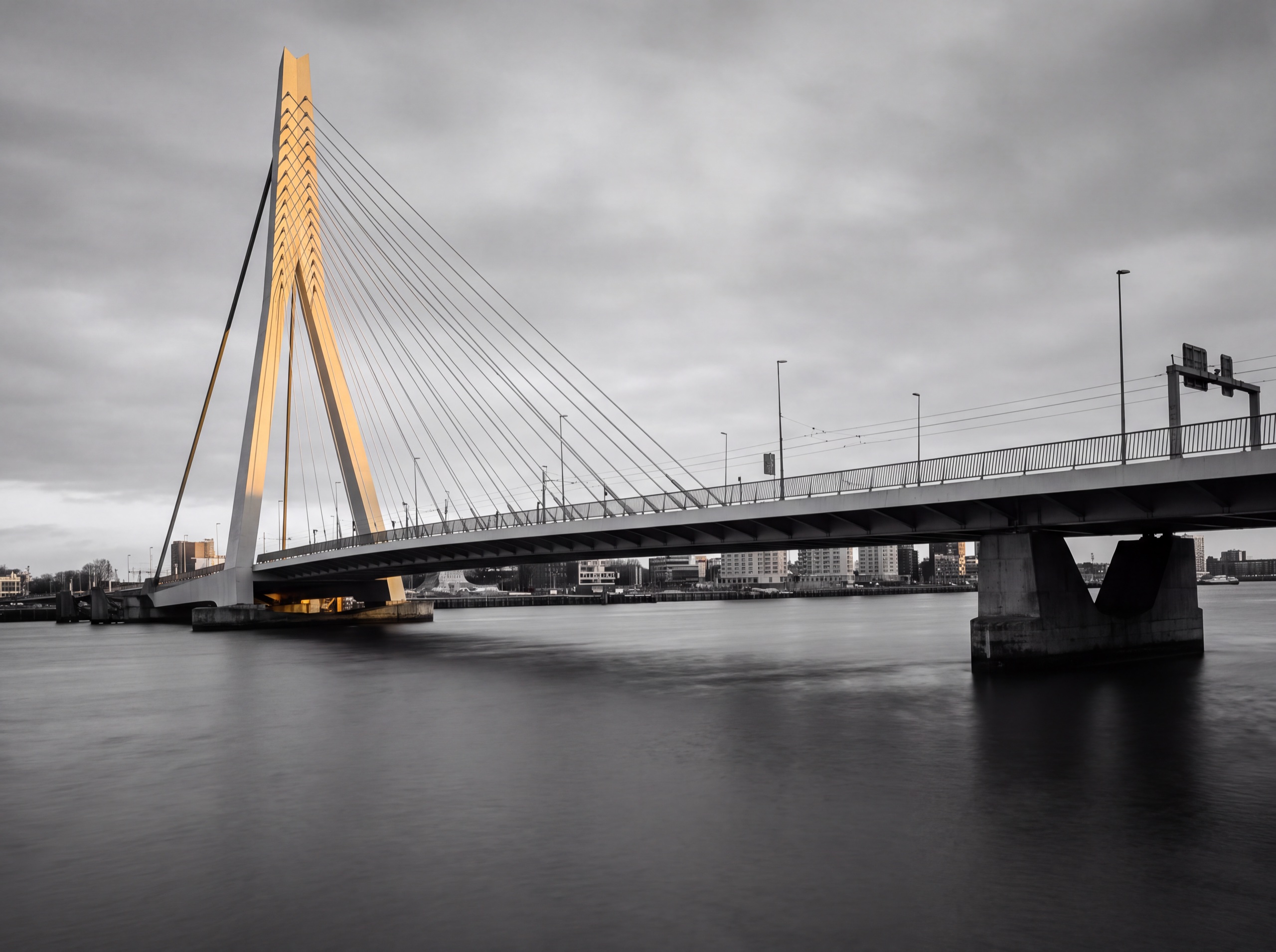Erasmus Bridge in Rotterdam above the water under a cloudy sky